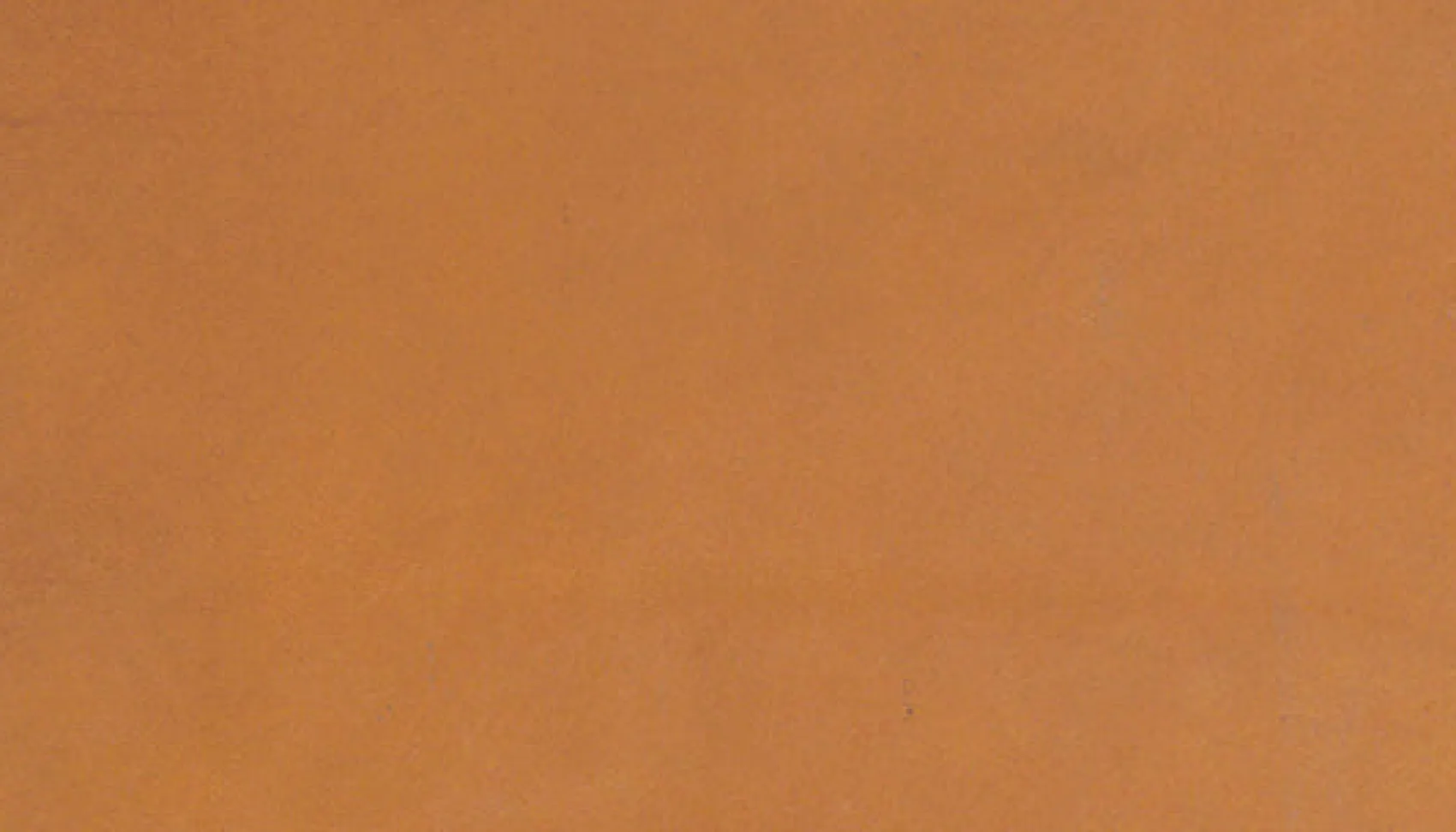 Jérôme Dreyfuss Bandoulière sangle naturelle large ChêneCowskin Fashion